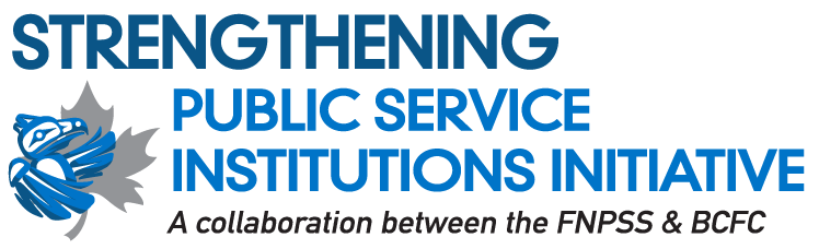 strengthening public service institutions initiative